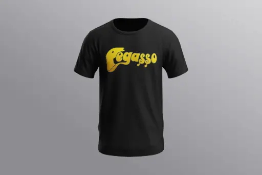 Pegasso
